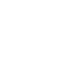 Sylogist logo