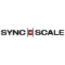 Sync N Scale logo