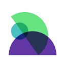 Syndex Limited logo