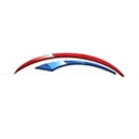 Synectic Solutions, Inc. logo