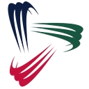 Synergy Employment Group, Inc. logo