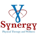 Synergy Physical Therapy & Wellness logo