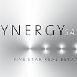 Synergy SAR LLC logo