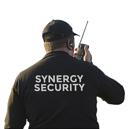 Synergy Security Solutions Ltd logo