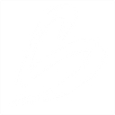 Synergy Services, Inc. logo