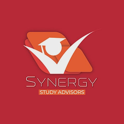 SYNERGY SOLUTIONS PRIVATE LIMITED logo
