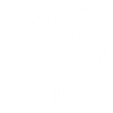 Favicon of Syntraplatform