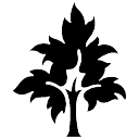 TLY Link Shortener logo