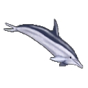 Favicon of Tacombi