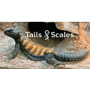 Tails and Scales 
