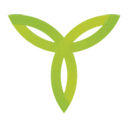 Talent Nation logo