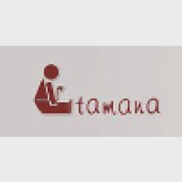 TAMANA LTD logo