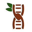 Tamarind Bio