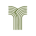 Tank Stream Design logo