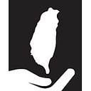 Taiwanese American Scholarship Fund logo