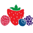 Tasmanian Berries logo