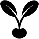 Seeds The Taste Collection logo