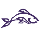 Taupo Intermediate logo