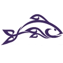 Taupo Intermediate School