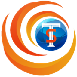 Tavas Systems LLC logo