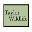 Taylor Wildlife logo