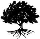 The Boston Group   Real Estate Investment & Management logo