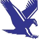 Tbird Design Services Corp logo