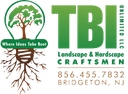 TBI Unlimited logo