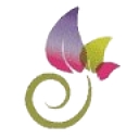 Center For Women's Health logo
