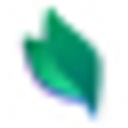 The Children's Education Initiative logo
