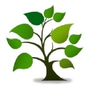 Tcg Medical Services Limited logo