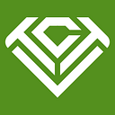 Treasuring Christ Together Network logo