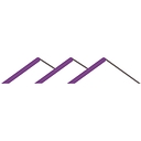 Trust Company Of Vermont logo