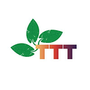 Teach to Transform Inc logo