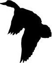 Teal Bend Golf Club logo