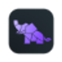 Teal India logo
