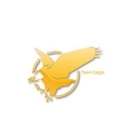 Team Eagle Ltd. logo