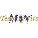Team Spirits logo