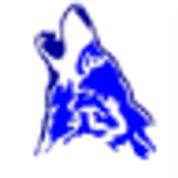 TEAM ACADEMY logo