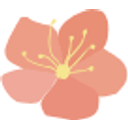 teamfloral logo
