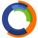 Team Focus Insurance Group logo