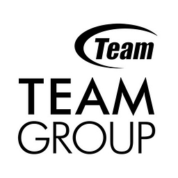Team Group logo
