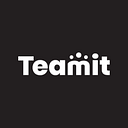 Team It Pty logo