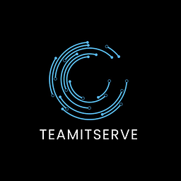 TeamitserveUSA logo