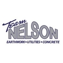 Team Nelson logo