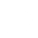 TEAM ONE TECHNOLOGIES PTE LTD