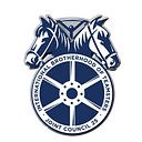 TEAMSTERS JOINT COUNCIL NO 25 logo