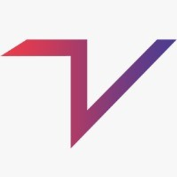 TeamsVise LLC logo