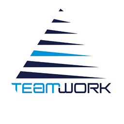 TEAMWORK MANAGEMENT INC. logo