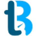 Techboss logo